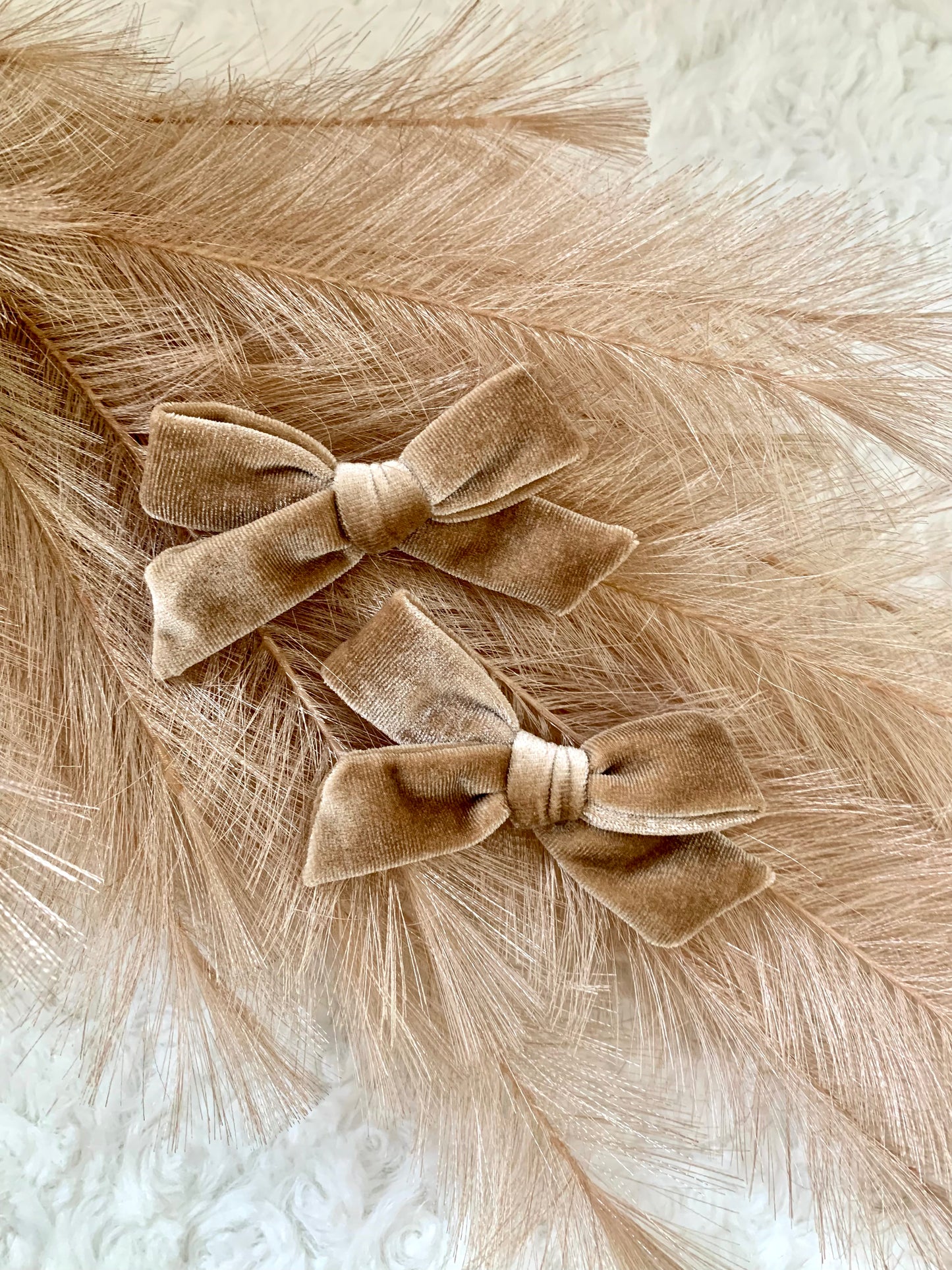 School girl velvet bow clip (2pk) - Champagne